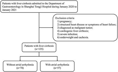 Risk Factors of Atrial Arrhythmia in Patients With Liver Cirrhosis: A Retrospective Study